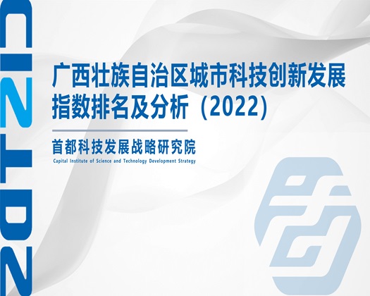 草17c【成果发布】广西壮族自治区城市科技创新发展指数排名及分析（2022）